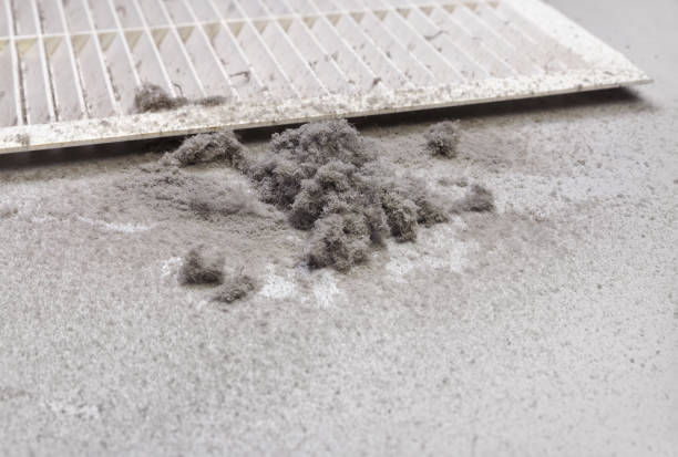Best Local Air Duct Cleaning Services  in Georgetown, CA